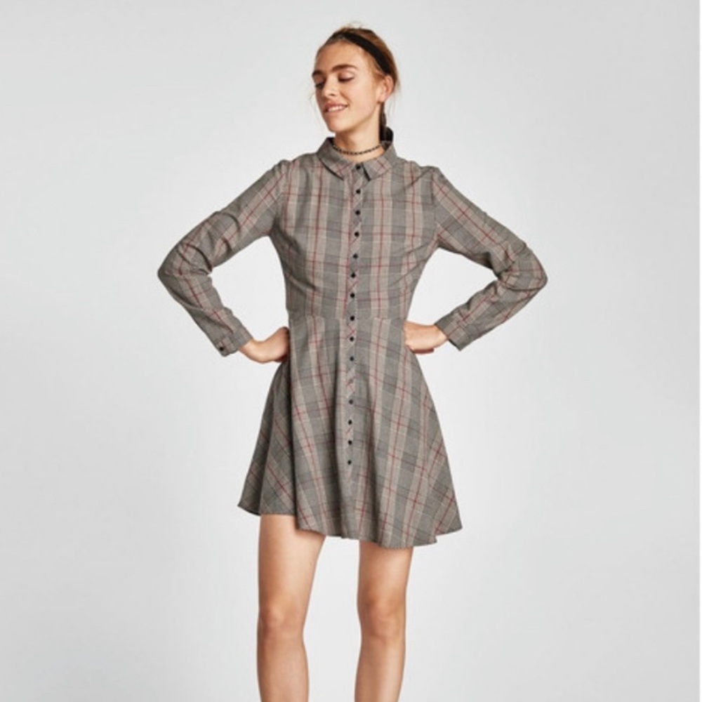 Zara Dolly Dress NWT